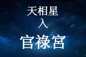 巨門|巨門星在官祿宮/事業宮